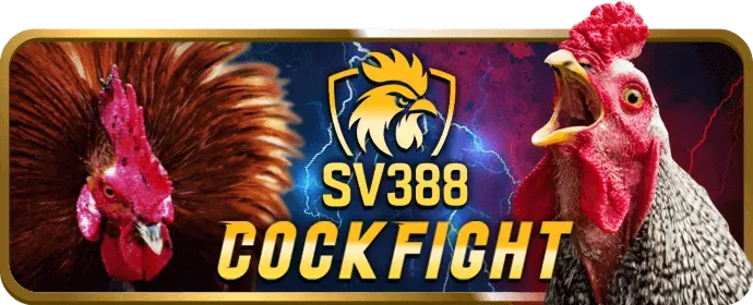 Ưu đãi VIP đá gà
